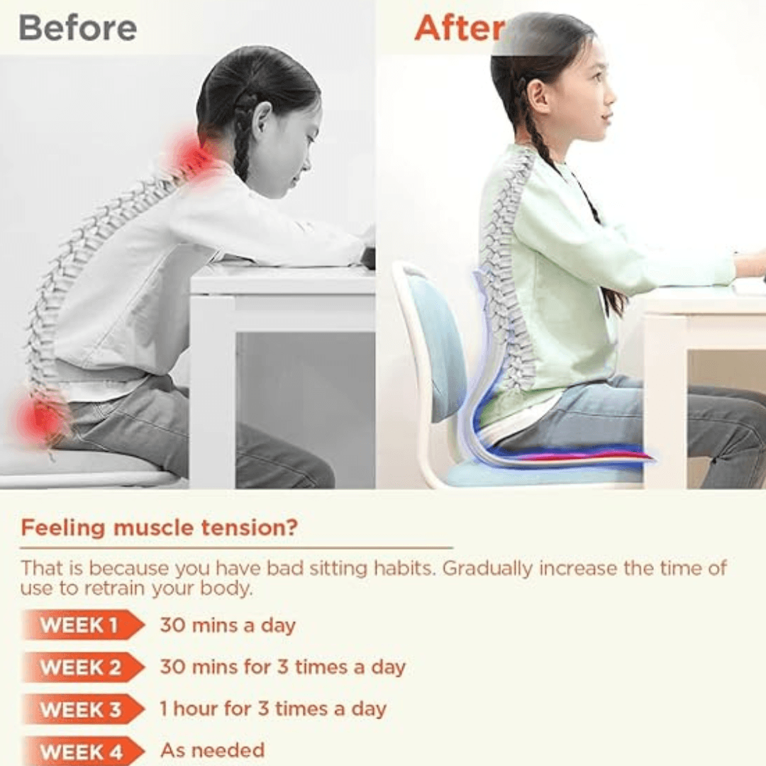 Comfort Posture Correction Chair Seat | Ergonomic Back Support